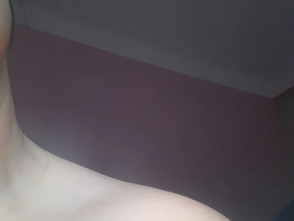 Sasu3 离线XXX聊天