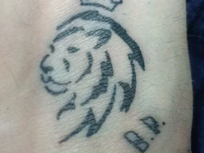 Profile of kinas022
