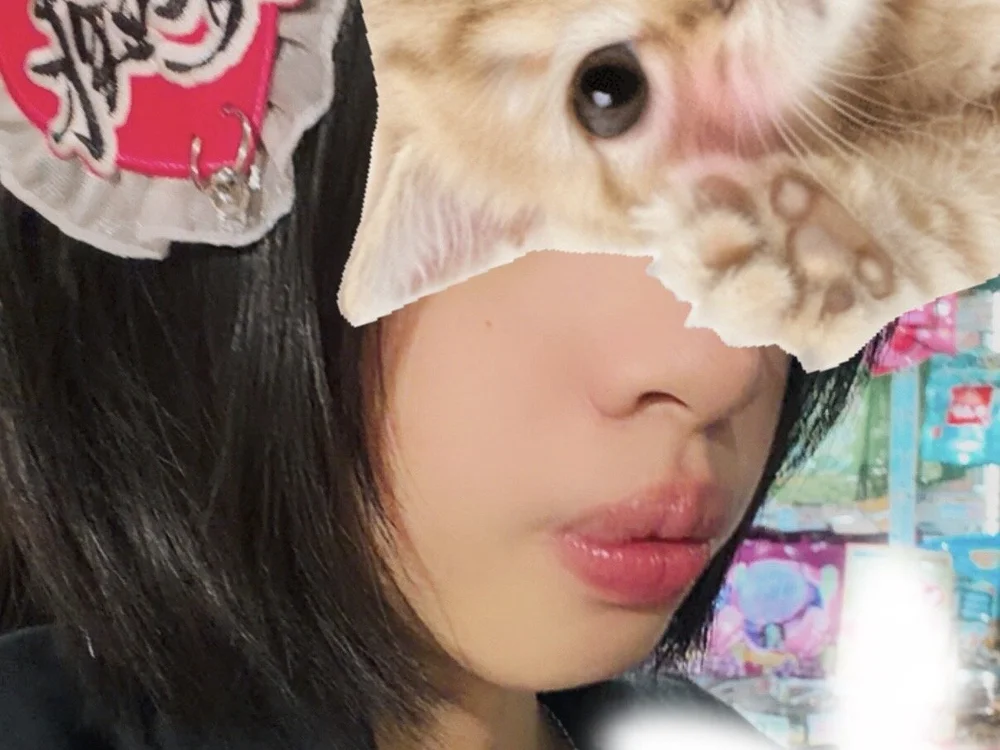 HolyMaidenLily 离线XXX聊天