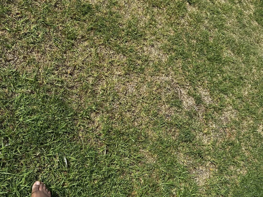 IloveBlackBodies' Offline XXX Chat