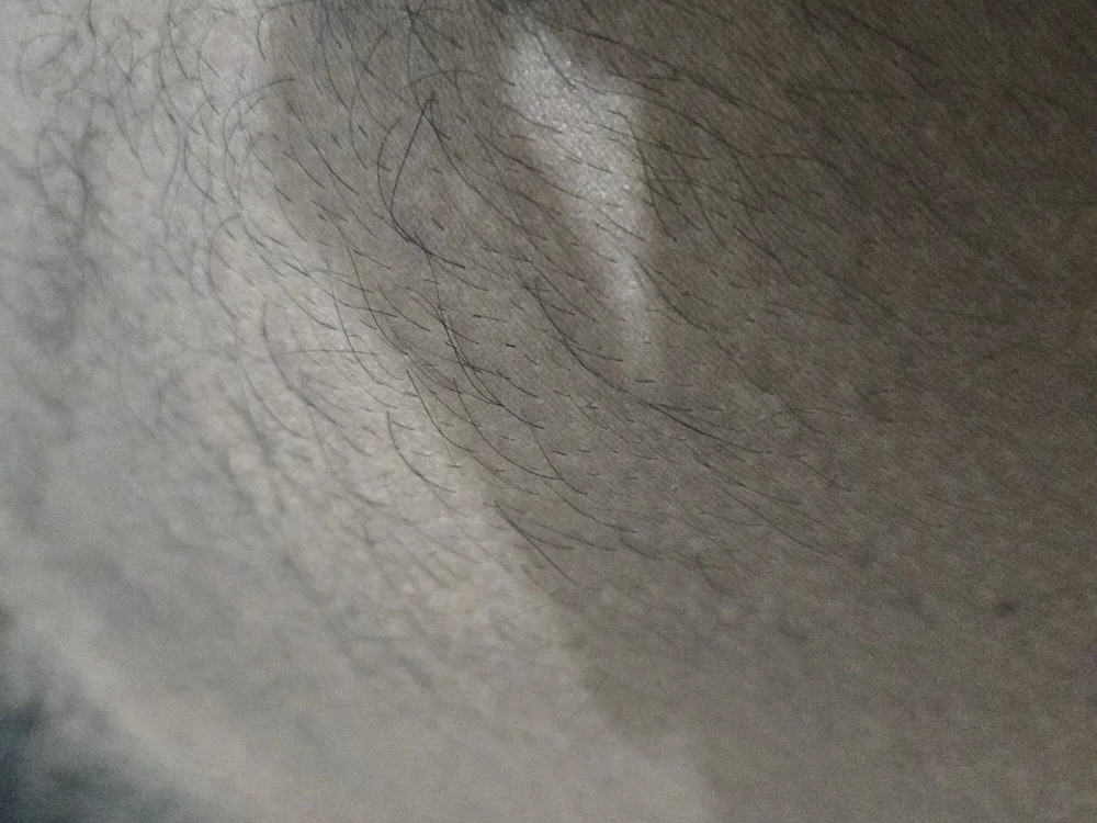 slaveforhornies cover photo