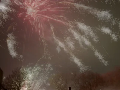 cumtributfan2025 profile