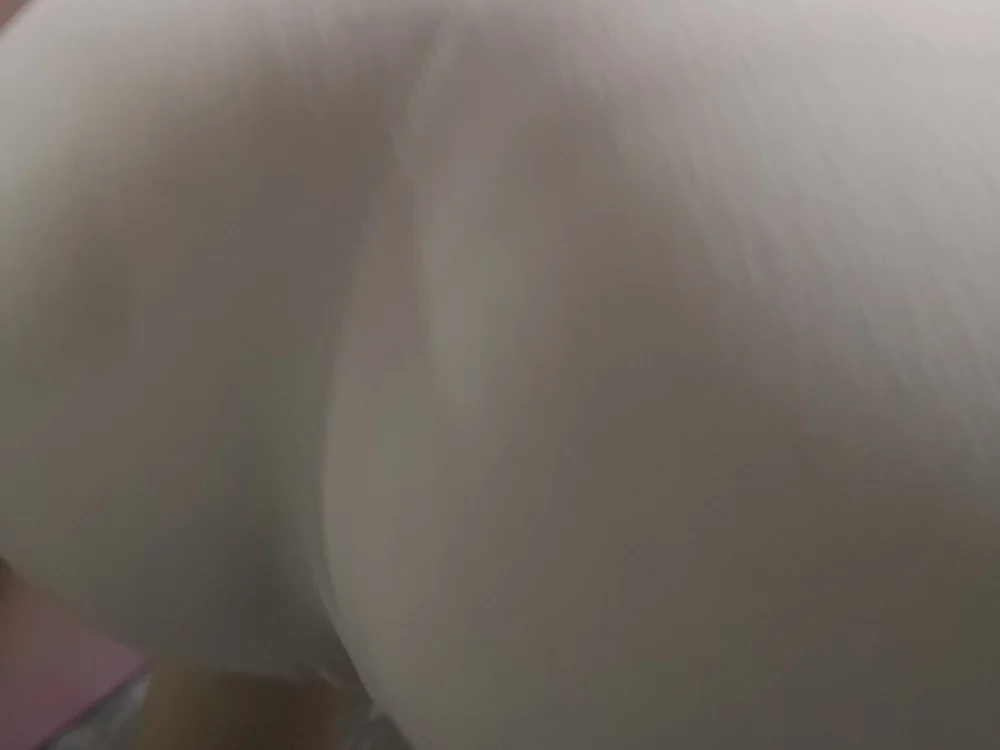 Chat +18 off-line de Yenilove