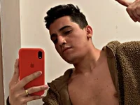 Модель stew_latino