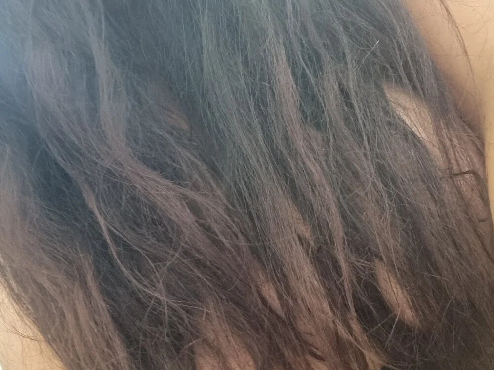 kittykat42069's Offline Chat Room