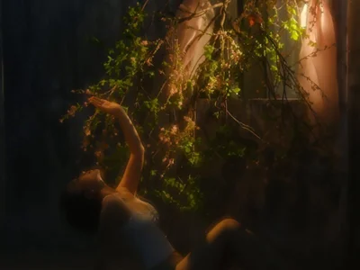 Hamy88 - interactive toys