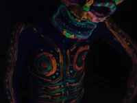 wide_nasty's webcam live show