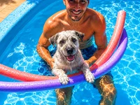 ramonph's webcam live show