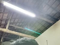 LankenLovers's webcam live show