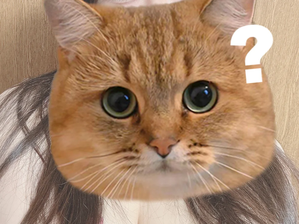 kitty_cham's Offline Chat Room