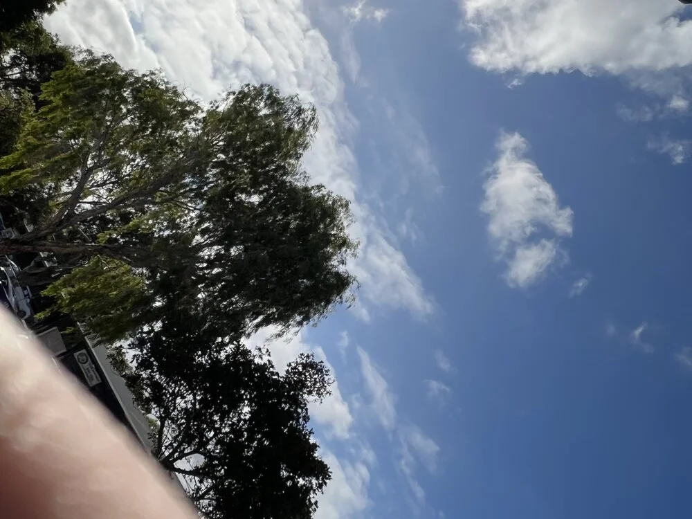 skinnylongdick99 Chat XXX offline