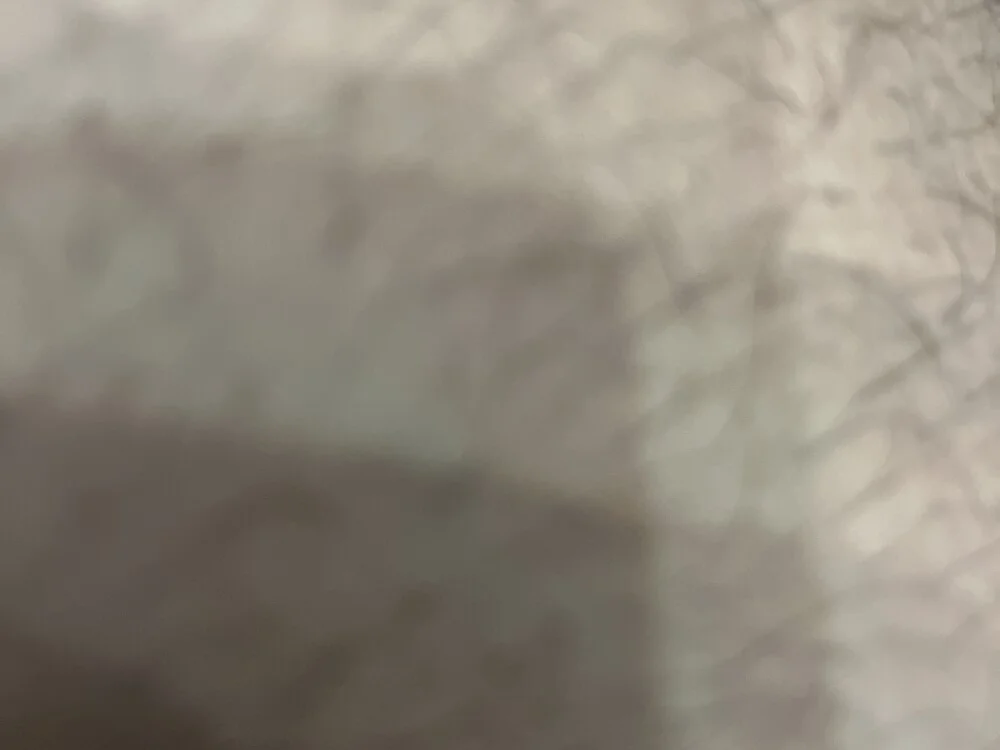 Офлайн-чат XXX pipo123ita