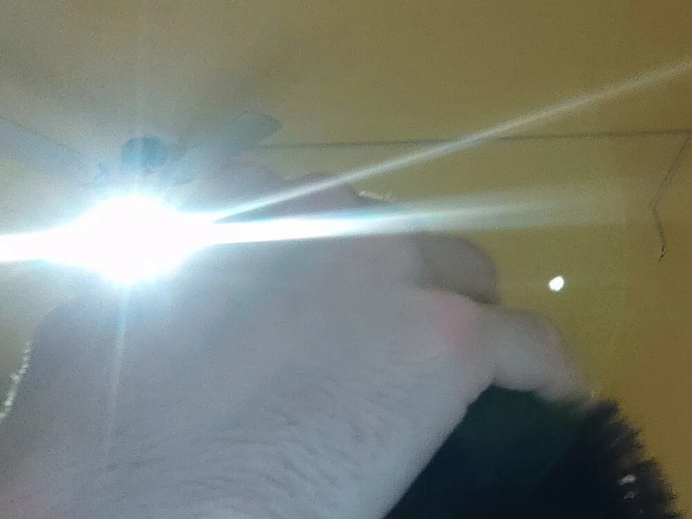 دردشة Luismiguel55 الجنسية دون اتصال