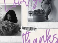 Модель mars_elina_