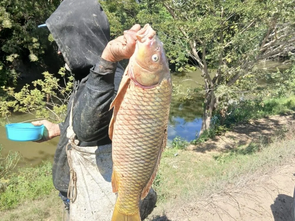 jose5320_20のオフラインXXXチャット