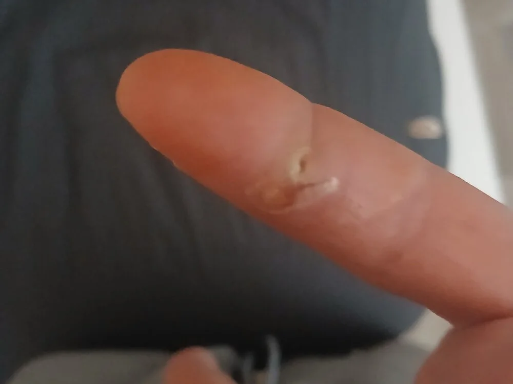 دردشة Tom4Womans الجنسية دون اتصال