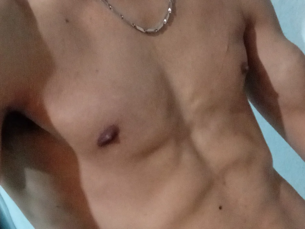 Stark01001 cam model