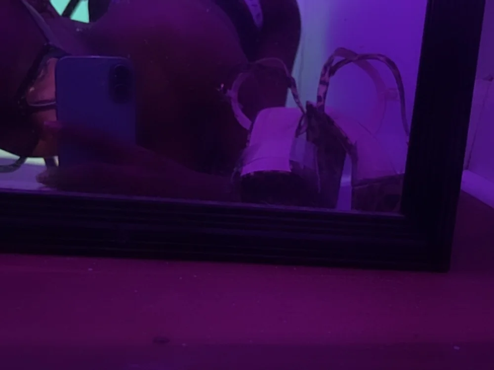 VelvetVixenXO's Offline XXX Chat