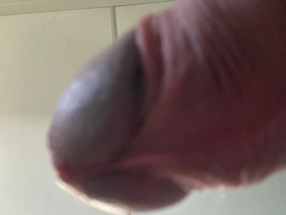 foto de portada de Dutch-fucker