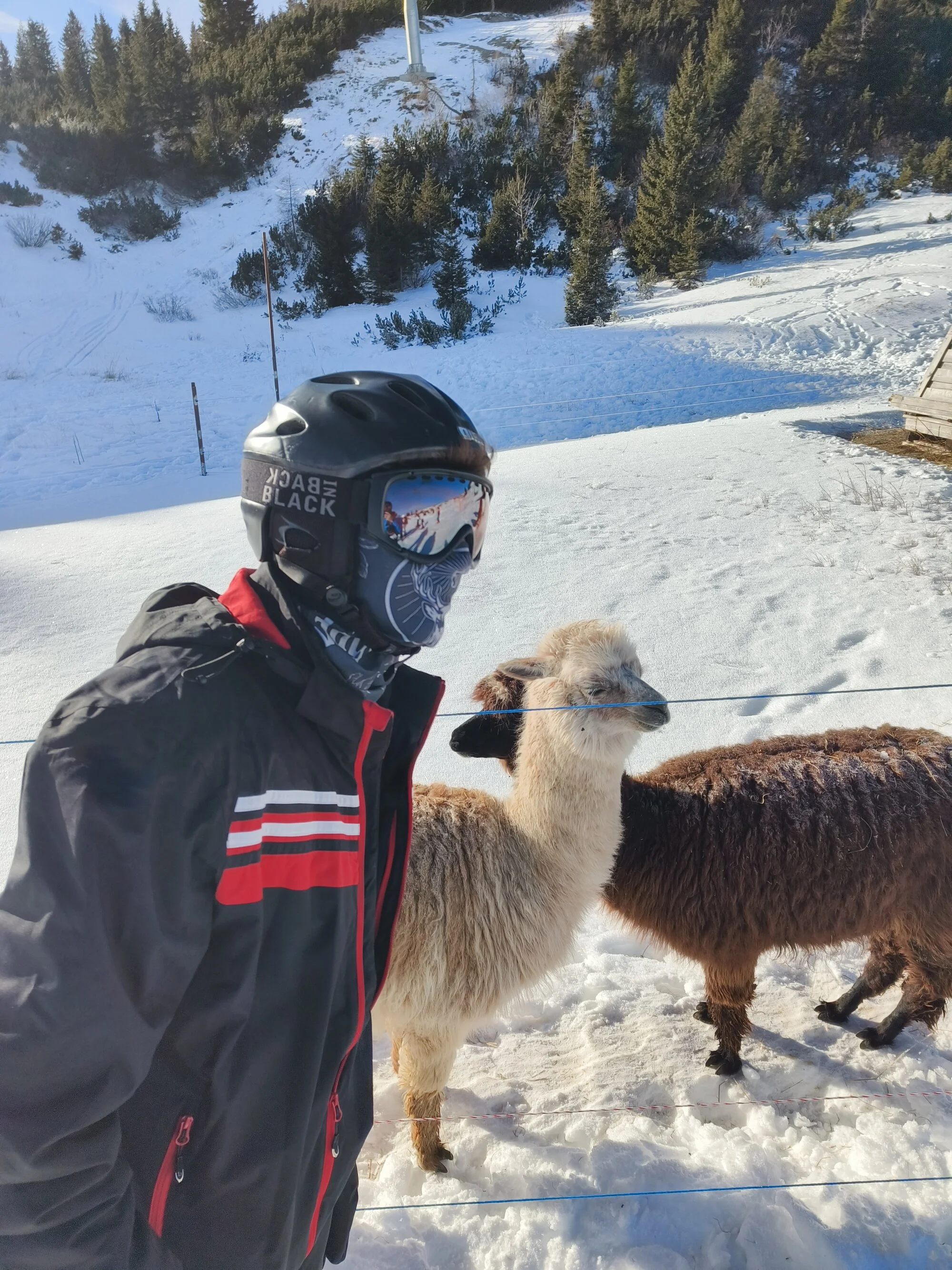 frane525 live webcam