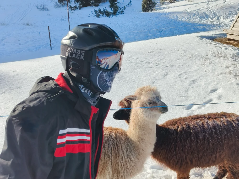 frane525: офлайн-секс-чат