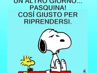 Dome24es's webcam live show