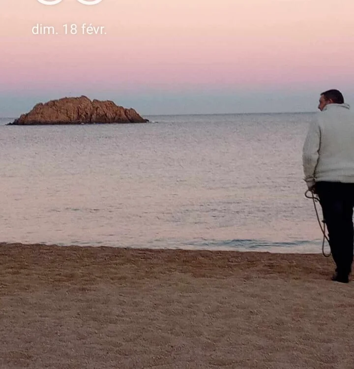 abellabricot's most recent online preview