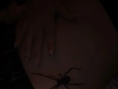 Nelia_4