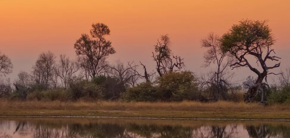 Chat XXX offline de James223083