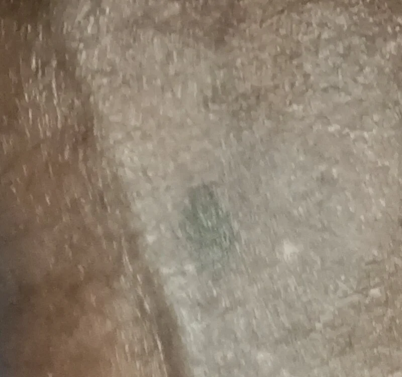 balusumi66 Obrolan XXX Offline