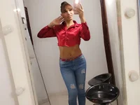 Модель Sara-Smith-