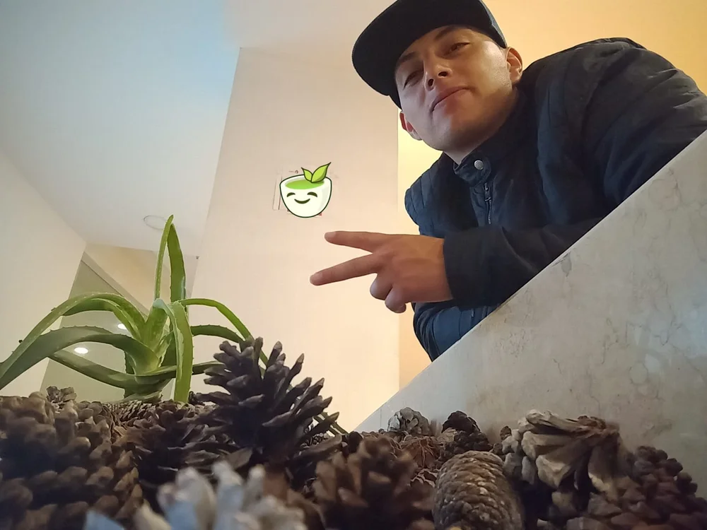 Mic-Hot_e's Offline XXX Chat