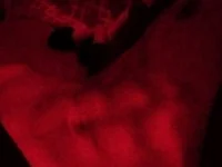 Модель RaulAvero