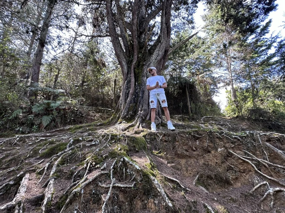 Colombiainthahouse Adlı Modelin Çevrimdışı XXX Sohbeti