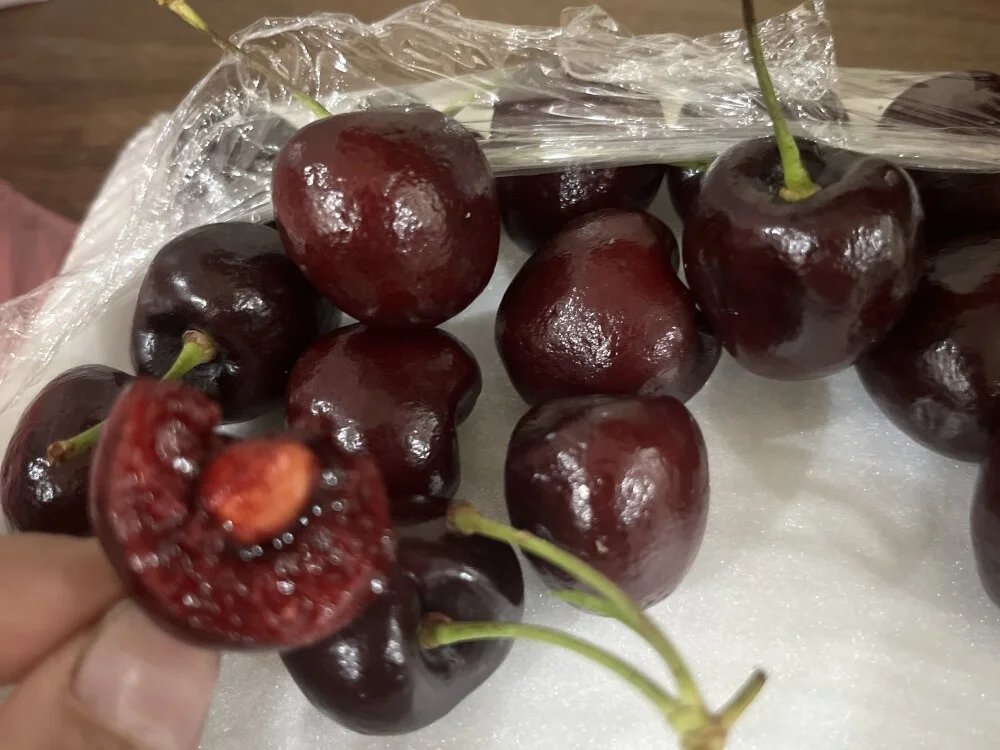 monika-2k 离线XXX聊天