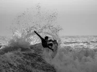 maleprovider's Offline XXX Chat