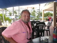 Модель mercuryice