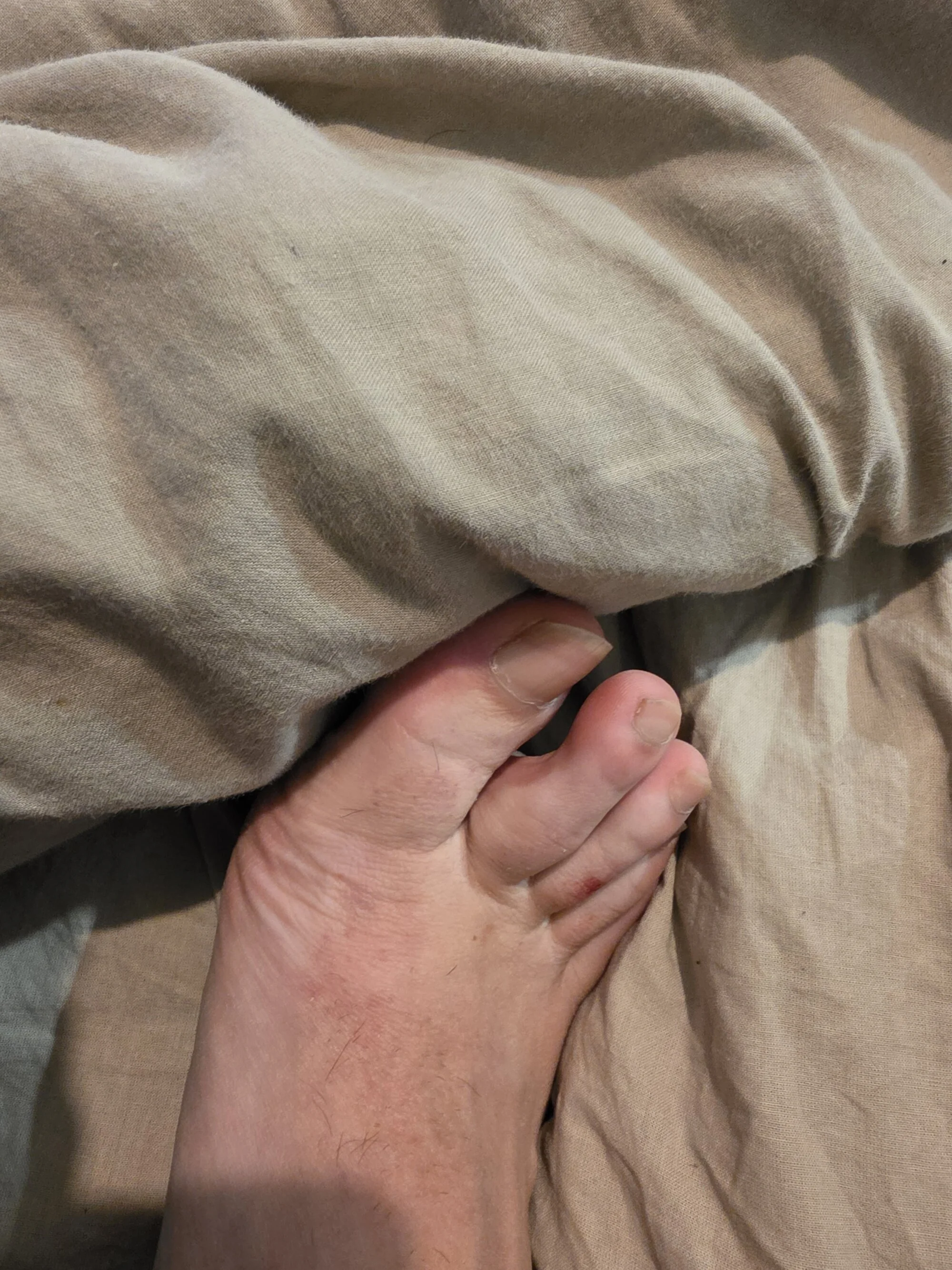 camelshoes