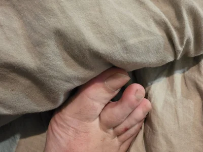 Profile of camelshoes