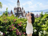 mina-1237 webcam model