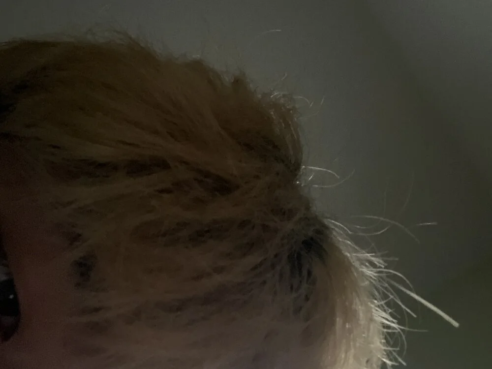 syujee 離線 XXX 聊天