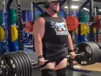 Модель Strong_Bear89