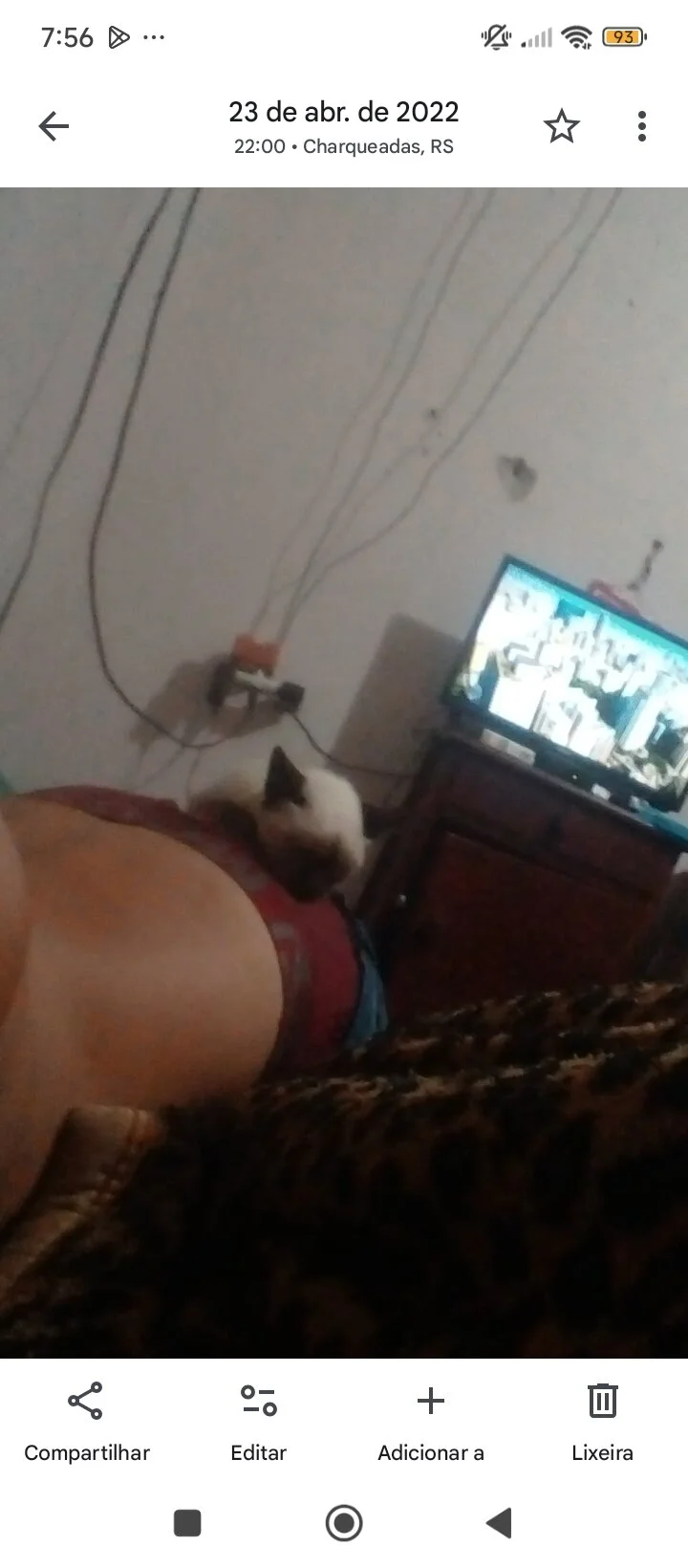 casal895
