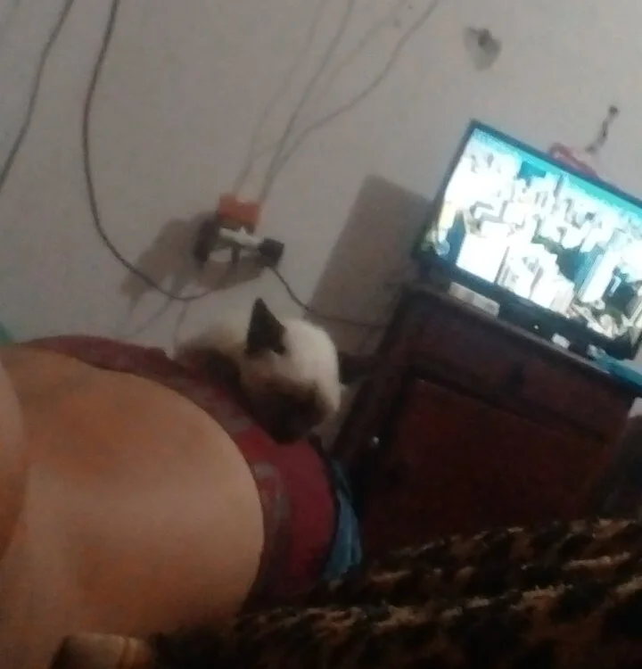 Chat XXX offline de casal895