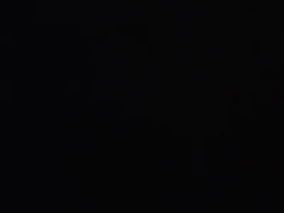 Nudegratuitmp Male New Strip Cam