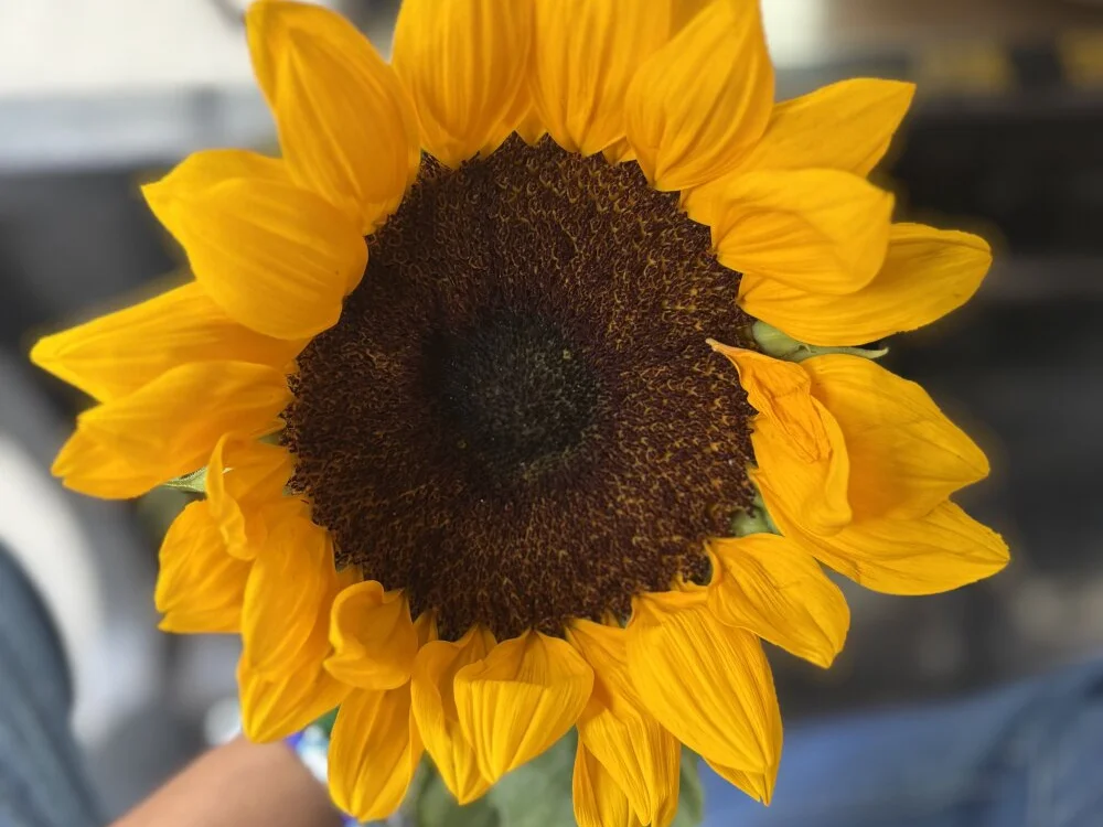 دردشة engineerboy14 الجنسية دون اتصال