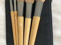 Verrocchio's webcam live show