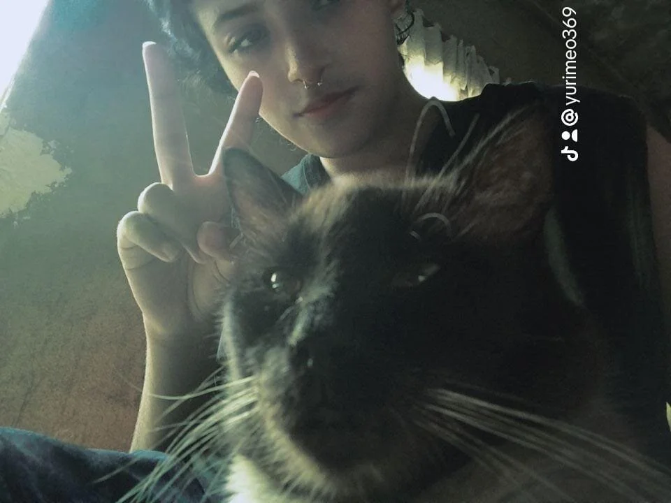 Офлайн-чат XXX Brazilian_Couple_