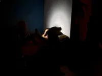 petsex_couple webcam