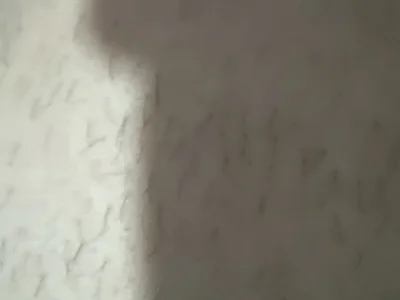 Jofelip